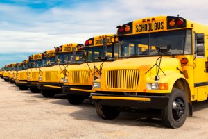 row of yellow school buses lined up in a parking lot.